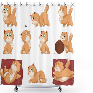 Personality  Funny Kittens Shower Curtains