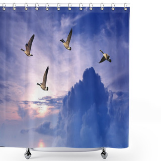 Personality  Birds Flying Over Purple Sky Panoramic View Shower Curtains