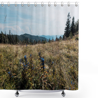 Personality  Wildflowers In Golden Field Near Mountains Against Sky Shower Curtains