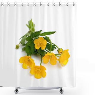 Personality  Yellow Buttercups Isolated On White Backround Shower Curtains