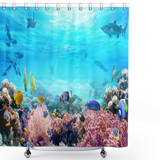 Personality  Animals Of The Underwater Sea World. Life In A Coral Reef. Colorful Tropical Fish. Hunting Shark. Ecosystem. Shower Curtains