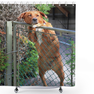 Personality  Devoted Friend Shower Curtains