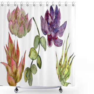 Personality  Exotic Tropical Succulents. Watercolor Background Illustration Set. Isolated Succulents Illustration Elements. Shower Curtains
