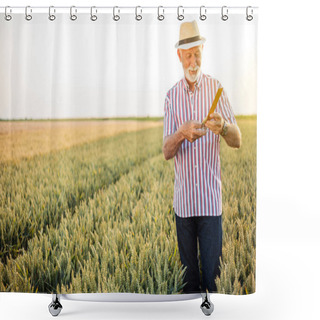 Personality  Gray Haired Senior Agronomist Or Farmer Measuring Wheat Beads Before The Harvest Shower Curtains