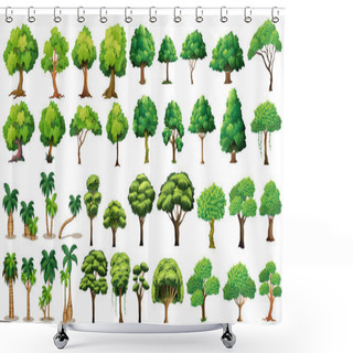 Personality  Tree Set Shower Curtains