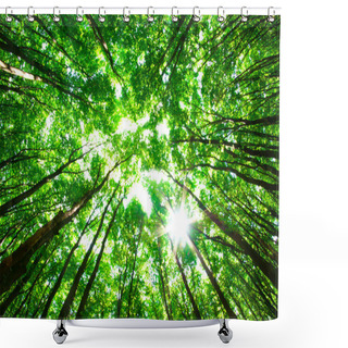 Personality  Green Forest Shower Curtains
