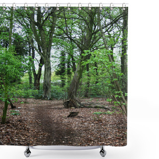 Personality  A Woodland Path Shower Curtains