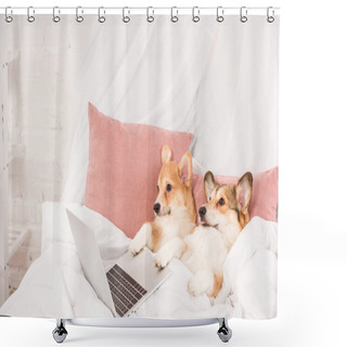 Personality  Pembroke Welsh Corgi Dogs Lying In Bed With Laptop At Home Shower Curtains