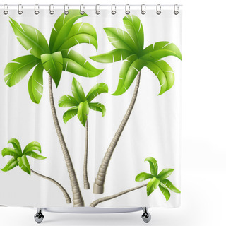 Personality  Set Of Coconut Isolated On White Background Shower Curtains