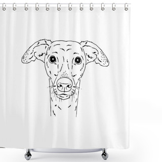 Personality  Symmetrical Vector Portrait Illustration Of Italian Greyhound Dog Shower Curtains