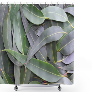 Personality  Gum Leaf Background Shower Curtains