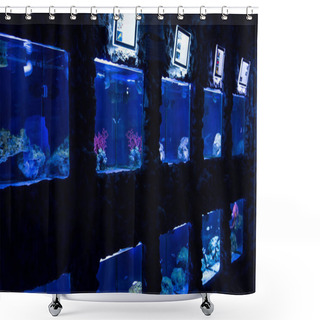 Personality  Fishes Swimming Under Water In Aquariums With Blue Lighting In Oceanarium Shower Curtains