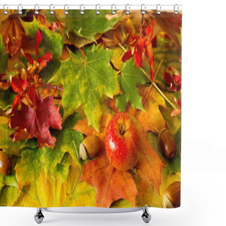 Personality  Colorful Autumn Leaves Background And Apple. Shower Curtains