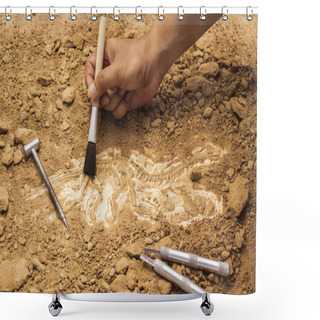Personality  Skeleton And Archaeological Tools.Training For Dig Fossil. Shower Curtains