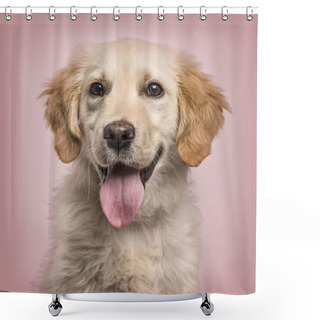 Personality  Close-up Of Golden Retriever Panting To Camera Against Pink Back Shower Curtains