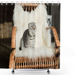 Personality  Cat On Rocking Chair Shower Curtains