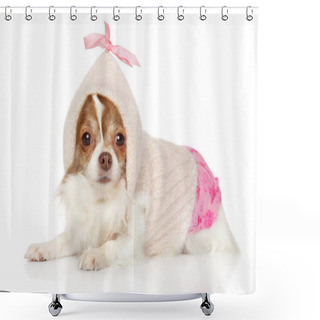 Personality  Funny Chihuahua In Dog Clothes Lying On A White Background. Animal Themes Shower Curtains