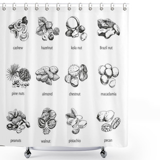 Personality  Twelve Kinds Of Nuts Shower Curtains
