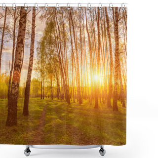 Personality  Sunset Or Dawn In A Spring Birch Forest With Bright Young Foliage Glowing In The Rays Of The Sun, Shadows From Trees And A Path. Shower Curtains