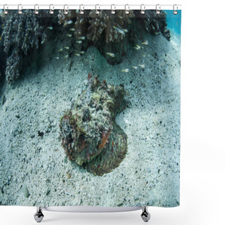 Personality  Well-camouflaged Stonefish (Synanceia Verrucosa) Shower Curtains