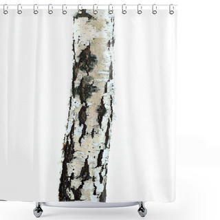 Personality  Trunk Of A Birch Isolated On White Background Shower Curtains