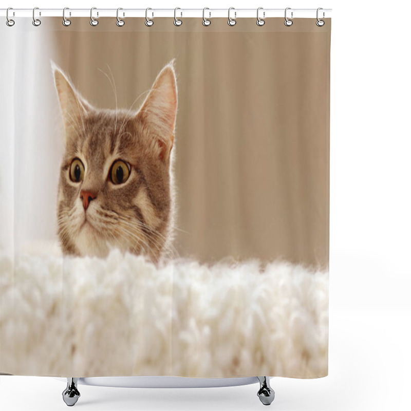 Personality  Cute Cat On Couch Shower Curtains