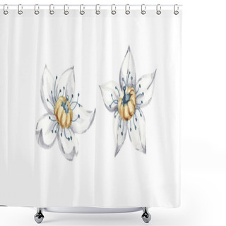 Personality  White Water Lily Flowers Isolated Handpainted Watercolor Set. Hand Drawn Lotus For Greeting Card Design, Shower Curtains