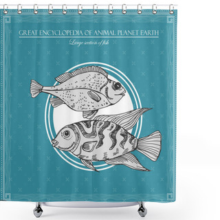 Personality  Great Encyclopedia Of Animal Planet Earth, Vintage Fishes Illustration Shower Curtains
