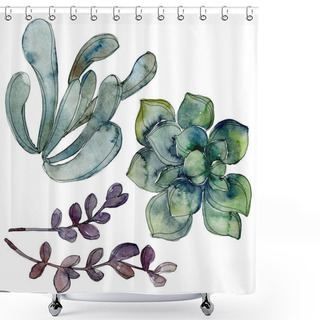 Personality  Exotic Tropical Hawaiian Botanical Succulents. Watercolor Background Illustration Set. Isolated Succulents Illustration Elements. Shower Curtains
