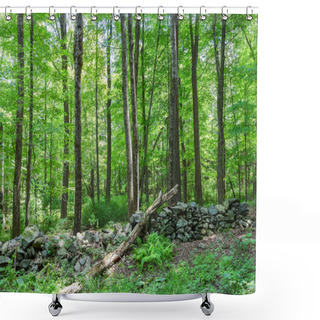 Personality   The Forest Of The Quabbin Reservoir In Ware Massachusetts Shower Curtains