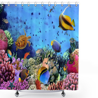 Personality  Photo Of A Coral Colony On A Reef, Egypt Shower Curtains