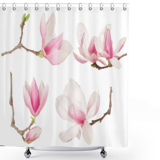 Personality  Magnolia Pink Flower Twig Spring Collection Shower Curtains
