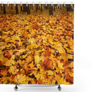 Personality  Autumn Maple Leaves Shower Curtains