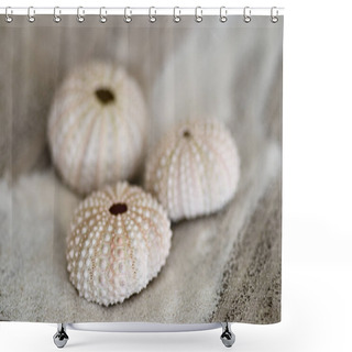 Personality  Sea Urchin Shells And Sand Shower Curtains
