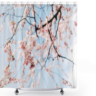 Personality  Selective Focus Of Beautiful Cherry Tree Blossom And Blue Sky Shower Curtains