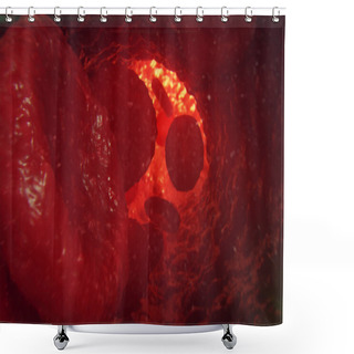 Personality  Red Blood Cells In Vein Or Artery, Flow Inside Inside A Living Organism, 3d Illustration Shower Curtains