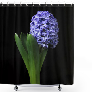 Personality  Blue Hyacinth Shower Curtains