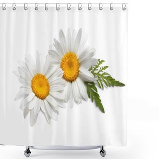 Personality  Chamomile Flower Shower Curtains