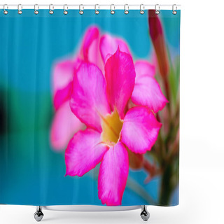Personality  Pink Tropical Flower Shower Curtains