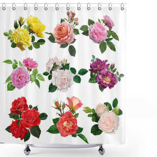 Personality  Set Of Multicolored Roses Shower Curtains