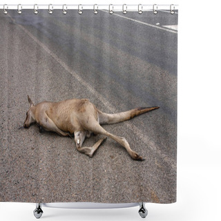 Personality  Ou Often See A Knocked Down Kangaroo On Australian Roads Shower Curtains