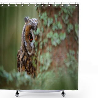Personality  Long-eared Owl  Shower Curtains