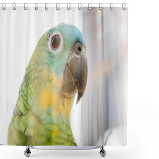 Personality  Selective Focus Of Adorable Bright Multicolored Amazon Parrot Head Shower Curtains