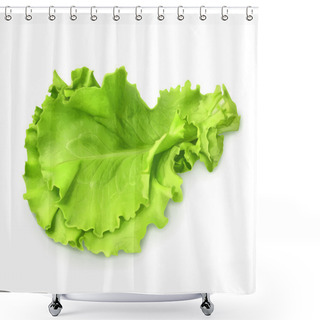 Personality  Fresh Green Lettuce Shower Curtains