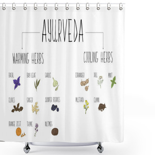 Personality  Hand-sketched Collection Of Elements Of Ayurvedic Spices In Our Kitchen. Warming And Cooling Herbs And Supplements Ayurveda. Shower Curtains