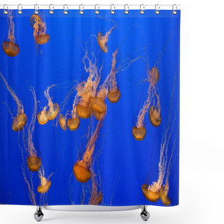 Personality  Beautiful Jelly Fishes Shower Curtains