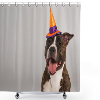 Personality  Purebred Staffordshire Bull Terrier In Halloween Pointed Hat Isolated On Grey Shower Curtains