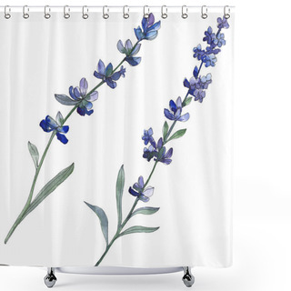 Personality  Purple Lavender Floral Botanical Flower. Wild Spring Leaf Wildflower Isolated. Watercolor Background Illustration Set. Watercolour Drawing Fashion Aquarell. Isolated Lavender Illustration Element. Shower Curtains