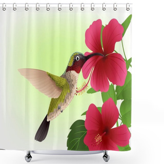Personality  Hummingbird With Red Flower Shower Curtains