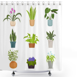 Personality  Home Plants In Pots Set. Color Collection Indoor Flowers Bright Purple Petals Green Round Leaves Elongated Pink Buds With Arrows Symbol Decorative Botanical Decoration. Vector Flat Flora. Shower Curtains